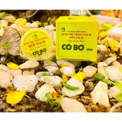 Combo 2 Lọ Kem Khử Thâm Nách & Hôi Nách Cô Bơ - Giúp Da Sáng Mịn, Giảm Mồ Hôi, Tự Nhiên, 8g