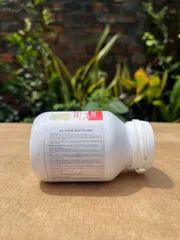 Viên nhai bổ sung kẽm Bio Island ZINC 120 viên - Hỗ trợ miễn dịch và tăng trưởng cho bé từ 1-12 tuổi
