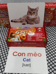 Bộ Thẻ Học Thông Minh A5 - 100 Flashcard Hai Ngôn Ngữ Anh-Việt Cho Trẻ 0-6 Tuổi - Nhận Biết Thế Giới Xung Quanh