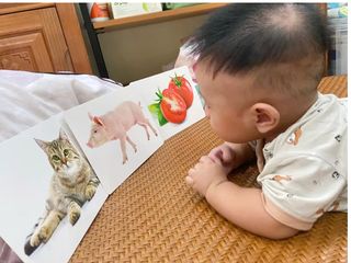 Bộ Thẻ Học Thông Minh A5 - 100 Flashcard Hai Ngôn Ngữ Anh-Việt Cho Trẻ 0-6 Tuổi - Nhận Biết Thế Giới Xung Quanh