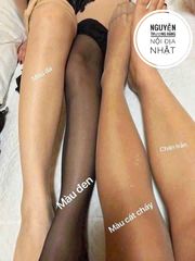 Quần Tất Nữ Panty Màu Da Nhật Bản - Chất Liệu Cao Cấp, Thiết Kế Thời Trang và Đủ Kích Cỡ, Tự Tin và Thanh Lịch