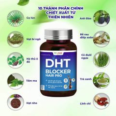 DHT Blocker Hair Pro - Viên uống hỗ trợ mọc tóc nhanh, ngăn rụng tóc và bạc sớm - Sản phẩm dưỡng tóc từ thiên nhiên Việt Nam