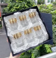 Bộ 6 Cốc Pha Lê Mạ Vàng Bohemia Versace Sang Trọng 45ml - Dụng Cụ Uống Rượu Cao Cấp, Thủy Tinh Chống Nhiệt, An Toàn Kháng Axit