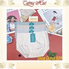Quần Lót Nữ Ding Dang 309 - Chất Su Mềm Mại, Co Dãn Không Đường May, Thoáng Mát - Đồ Lót Thời Trang Hàng Đầu