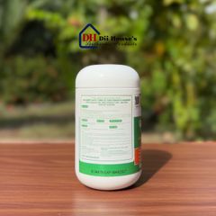 Viên uống bổ não Nature's Way Ginkgo 2000 - Tăng cường trí nhớ và chức năng nhận thức, 120 viên - Thực phẩm bảo vệ sức khỏe