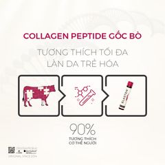 Collagen Elasten Hộp 28 ống x 25ml Chống Lão Hoá Giúp Da Căng Mịn Trắng Sáng