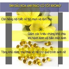 Tinh Dầu Hoa Anh Thảo Hàn Quốc Gamma Linolenic Acid Evening Primrose Oil Hàng Cao Cấp Mẫu Mới 300 viên