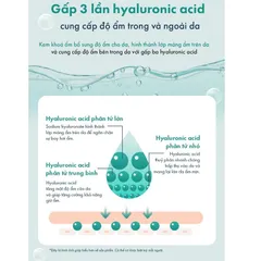 Combo 10 Mặt Nạ Dưỡng Ẩm B5 OMUSE Aquaporin Mask [ Nhập Khẩu Chính Hãng ]