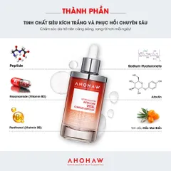 Tinh Chất Ahohwa After Solution Inten-Cure Vital Complex Ampoule 50ml