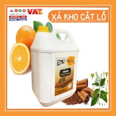 Nước Rửa Tay Sát Khuẩn Mr Fresh 5L - Dung Dịch Rửa Tay Thảo Mộc Hương Cam Quế, An Toàn Cho Gia Đình và Nơi Công Cộng