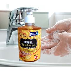 Nước Rửa Tay Khử Mùi Mr.Fresh 500ml - Diệt Khuẩn, Hương Cam Quế Dễ Chịu, Giúp Bảo Vệ và Chăm Sóc Da Tay