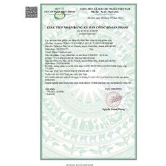 Viên Uống Ginkgo Q10 Tăng Cường Trí Nhớ, Giảm Đau Đầu Và Chóng Mặt - Hỗ Trợ Hệ Thần Kinh, Hộp 60 Viên