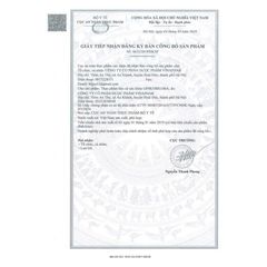 Viên Uống GINKOBILOBA Cao Bạch Quả & Đinh Lăng - Hỗ Trợ Giấc Ngủ, Giảm Đau Đầu - Hộp 60 Viên Nang Mềm