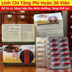Viên Uống Linh Chi Tăng Cân Wisdom - Hỗ Trợ Tăng Cân Hiệu Quả Cho Người Gầy 36 Viên