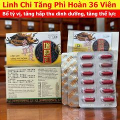 Viên Uống Linh Chi Tăng Cân Wisdom - Hỗ Trợ Tăng Cân Hiệu Quả Cho Người Gầy 36 Viên