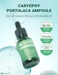 Serum Giảm Mụn Mờ Thâm Caryophy 30ml - Giúp Se Lỗ Chân Lông, Dưỡng Ẩm Da, An Toàn Cho Da Nhạy Cảm