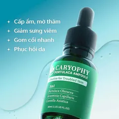 Serum Giảm Mụn Mờ Thâm Caryophy 30ml - Giúp Se Lỗ Chân Lông, Dưỡng Ẩm Da, An Toàn Cho Da Nhạy Cảm