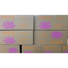 Xốp Cắm Hoa Tươi Lotus Chính Hãng Malaysia - Thùng 20 Viên Giữ Nước Tươi Lâu, Dùng Cắm Hoa, Kệ Hoa, Bán Hàng Chất Lượng Cao