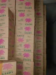 Xốp Cắm Hoa Tươi Lotus Chính Hãng Malaysia - Thùng 20 Viên Giữ Nước Tươi Lâu, Dùng Cắm Hoa, Kệ Hoa, Bán Hàng Chất Lượng Cao
