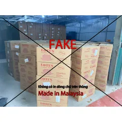 Xốp Cắm Hoa Tươi Lotus Chính Hãng Malaysia - Thùng 20 Viên Giữ Nước Tươi Lâu, Dùng Cắm Hoa, Kệ Hoa, Bán Hàng Chất Lượng Cao
