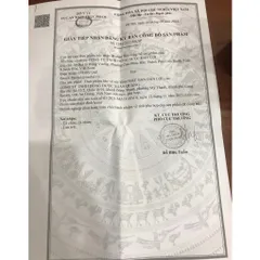Viên uống Mát Gan Dân Lợi 240 Viên - Bổ Gan, Giải Độc, Thanh Nhiệt, Hỗ Trợ Lọc Máu Hiệu Quả, Chăm Sóc Sức Khỏe Gan