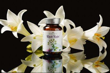 Viên Uống Bách Xuân Cân Bằng Nội Tiết Tố Nữ - Chống Lão Hóa, Trẻ Hóa Da, Hỗ Trợ Phụ Nữ Mãn Kinh