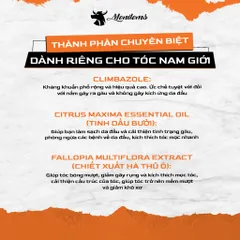 Dầu Gội Ngăn Gàu Menitems - Dưỡng Tóc, Giảm Ngứa, Giúp Mọc Tóc, Tinh Dầu Bưởi, Hương Nước Hoa Nam Tính, Chăm Sóc Tóc Nam