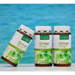 Viên Uống Bổ Não Sanct Bernhard Ginkgo Kapseln 75mg, 240 Viên, Made in Germany