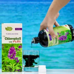 Nước Diệp Lục TH-Chlorophyll UIE PLUS 500ml - Giải Pháp Thanh Lọc Tự Nhiên, Hỗ Trợ Tiêu Hóa và Cải Thiện Sức Khỏe