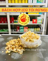 Hạt Bách Hợp (Củ Tỏi Rừng) - Hạt Dinh Dưỡng Cao Cấp, Giảm Căng Thẳng, Chăm Sóc Sức Khỏe - Hỗ Trợ Ngủ Ngon