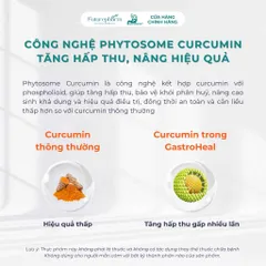 Thực Phẩm Bảo Vệ Sức Khỏe Gastroheal - Hỗ Trợ Giảm Đau Dạ Dày, Tăng Cường Bảo Vệ Niêm Mạc, Giảm Tình Trạng Đầy Bụng, Khó Tiêu