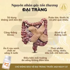 Lacttocol Max - Thực Phẩm Chức Năng Hỗ Trợ Tiêu Hóa, Giảm Trào Ngược Dạ Dày, Viêm Dạ Dày, 30 Viên