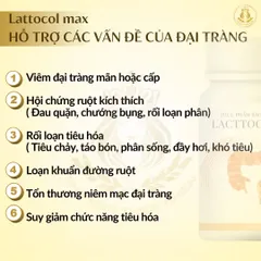 Lacttocol Max - Thực Phẩm Chức Năng Hỗ Trợ Tiêu Hóa, Giảm Trào Ngược Dạ Dày, Viêm Dạ Dày, 30 Viên