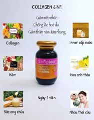 Collagen 6 in 1 Spring Leaf Inner Beauty Plus - Tăng cường sức khỏe da, tóc và móng - Sản phẩm làm đẹp tự nhiên từ Úc