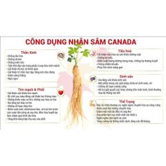 Viên Nhân Sâm CND Ginseng Gold - 60 Viên Tăng Sinh Lực, Giảm Mệt Mỏi, Hỗ Trợ Giảm Stress tự nhiên từ Nhân Sâm Canada