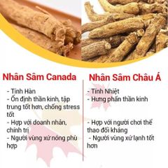 Viên Nhân Sâm CND Ginseng Gold - 60 Viên Tăng Sinh Lực, Giảm Mệt Mỏi, Hỗ Trợ Giảm Stress tự nhiên từ Nhân Sâm Canada