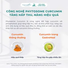 Combo 5 Lọ Gastroheal - Thực Phẩm Bảo Vệ Sức Khỏe Hỗ Trợ Tiêu Hóa, Giảm Đau Dạ Dày, Trào Ngược, Tặng 2 Lọ Và 1 Ly Sứ Cao Cấp