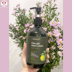 Dầu Gội Thiên Nhiên Maldala 500ml - Kích Thích Mọc Tóc, Giảm Rụng Tóc, Chiết Xuất Bưởi & Trầm Hương, Dưỡng Tóc Mềm Mượt