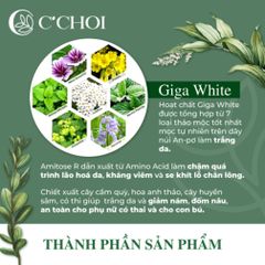 Phấn Nước Cushion C'CHOI - Mịn Da, Nâng Tone, Giữ Ẩm, Chống Nắng - Mỹ Phẩm Xanh Tự Nhiên, Phù Hợp Cho Mọi Loại Da