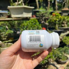 Viên Uống DHA Bio Island Cho Phụ Nữ Mang Thai - Hỗ Trợ Phát Triển Trí Não & Thị Giác Thai Nhi - 60 Viên Lành Tính