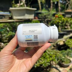 Viên Uống DHA Bio Island Cho Phụ Nữ Mang Thai - Hỗ Trợ Phát Triển Trí Não & Thị Giác Thai Nhi - 60 Viên Lành Tính