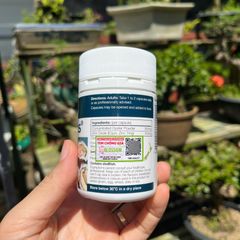 Viên uống Oyster Plus Goodhealth 60 viên - Hỗ trợ sức khỏe sinh sản và miễn dịch cho nam giới - Tăng cường năng lượng và sức đề kháng