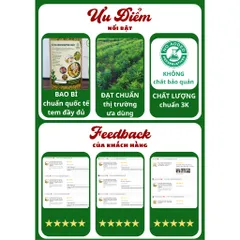 Trà Hoa Hòe Khô Đặc Biệt - Hương Thơm Dịu Dễ Uống, Hỗ Trợ Tim Mạch và Sức Khỏe - Thảo Mộc Thiên Nhiên Cho Giây Phút Thư Giãn