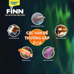 Cám Dinh Dưỡng Viên KOIKA FINN Cho Cá Vàng - 43% Protein, Probiotics Tăng Cường Sức Khỏe & Màu Sắc Rực Rỡ