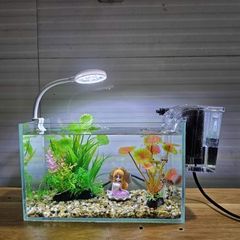 Đèn LED Kẹp Mini Jeneca D1S - Đèn Kẹp 3 Màu 360 Độ Cho Bể Cá Cảnh, Thủy Sinh - Tiết Kiệm Điện, Hiệu Suất Cao