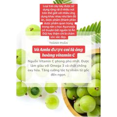 Dầu Ủ Tóc Dabur Amla Oil Ấn Độ - Dưỡng Tóc Khỏe, Mượt, Dày Tự Nhiên từ 14 Loại Thảo Mộc - Sản Phẩm Dành Cho Nam Nữ