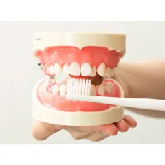 Bàn Chải Vệ Sinh Kẽ Răng Ebisu BK-142 - Chăm Sóc Răng Miệng Hiệu Quả cho Người Niềng Răng và Răng Thưa Nhật Bản