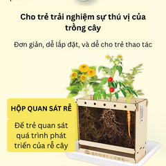 Bộ Kit Nhà Kính Trồng Cây Mini Cho Bé - Đồ Chơi Giáo Dục STEM Quan Sát Sinh Trưởng Cây Cảnh Thân Thiện Môi Trường