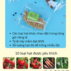 Bộ Kit Nhà Kính Trồng Cây Mini Cho Bé - Đồ Chơi Giáo Dục STEM Quan Sát Sinh Trưởng Cây Cảnh Thân Thiện Môi Trường