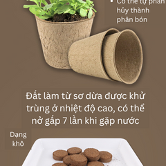 Bộ Kit Nhà Kính Trồng Cây Mini Cho Bé - Đồ Chơi Giáo Dục STEM Quan Sát Sinh Trưởng Cây Cảnh Thân Thiện Môi Trường